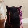 lordemode's profile picture