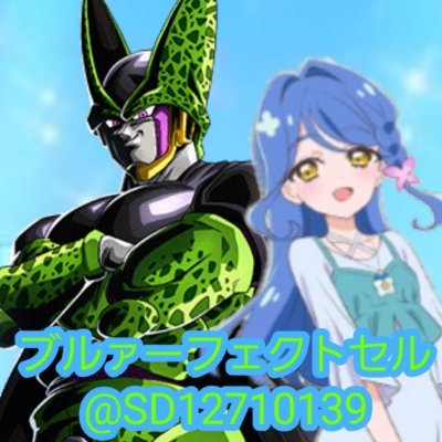 ブルァーフェクトセル's profile picture