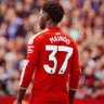 Kainoo's profile picture