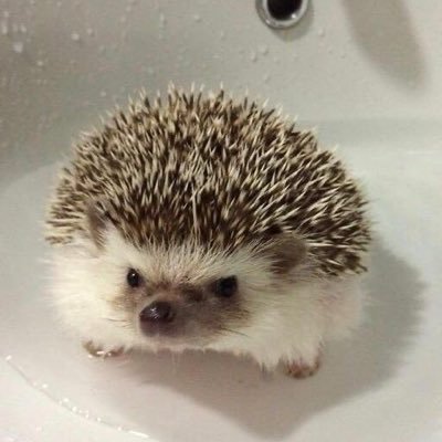 tegjef's profile picture