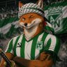 Zorro Roronea profil fotoğrafı