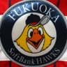 ⚾️ミホーク⚾️ 的头像