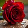 الاستاذ's profile picture