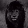 Profilbild von .