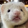 Profilbild von beatriz