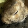 ひづる 的头像