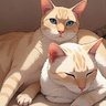 Фото профиля Ray-猫さん