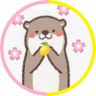 Profilbild von sakura🌸🤍dexi5japan