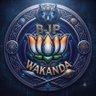 BJP Wakanda's profile picture