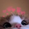 kana's profile picture