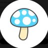 Фото профиля わっしょいどきのこ🩵🍄