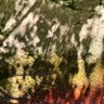 mu profil fotoğrafı