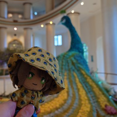 CECIL_ML's profile picture