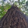 Фото профиля பரணிதரன்
