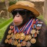 56-inch ka chota 🐵's profile picture