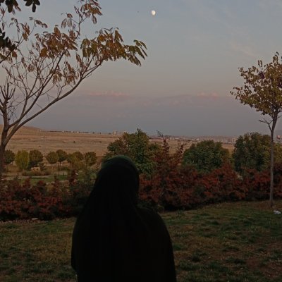 𝐸𝑙𝑖𝑓 ❀'s profile picture