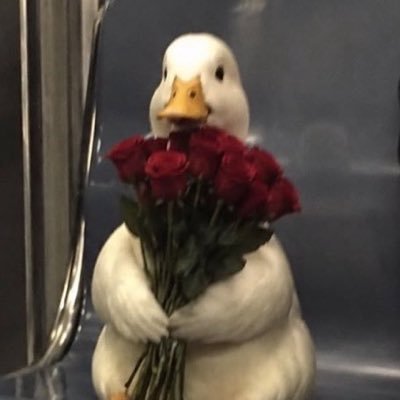 ɪs ᴍʏ sᴜɴғʟᴏᴡᴇʀ.파이 🌻's profile picture