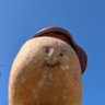 Laurent L. Pierre's profile picture