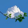 غـيـمة ممـطـرة profil fotoğrafı