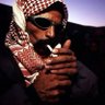 محايد 的头像