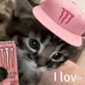 Ev1lku's profile picture