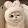 ばーしー 的头像