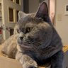 hyde _ow's profile picture