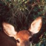 Mae 🤍🤍's profile picture