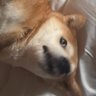 Jao's profile picture