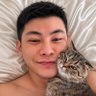 阿米爱猫咪 profil fotoğrafı