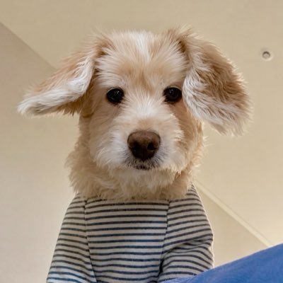KeepZ's profile picture