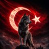 Cengiz Arslan 的头像