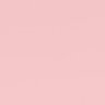 ✧'s profile picture