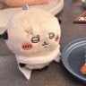 グルキャップ(ジョーイ推し)'s profile picture