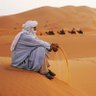 الهـِزَبر 的头像