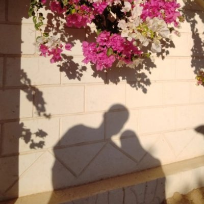 فَاطِـ𓂆ـةُ السَّـقا.'s profile picture