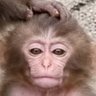 Alien's profile picture