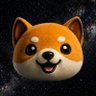 Fan BabyDoge 🐶🚀 16k 的头像