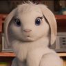Clementine Miller's profile picture