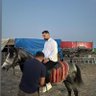 Cihan 🌟's profile picture