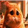 ishola jr.'s profile picture