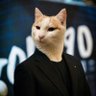 Kedi Sabunoglu's profile picture