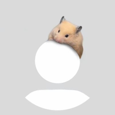 SAKUYAmoment's profile picture