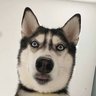 Profilbild von SwitchOn