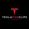 Фото профиля TeslaFSDClips