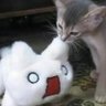 ^りんや^'s profile picture
