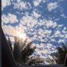 سيف العبّادي 的头像