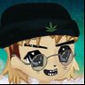 Profilbild von crypto king