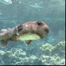 ばろい 的头像