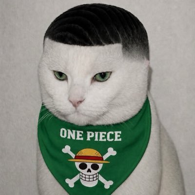 DietWaterGUY's profile picture